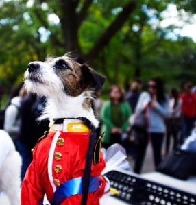 Owner/ Copyright holder