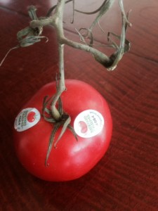 Not the thing to buy