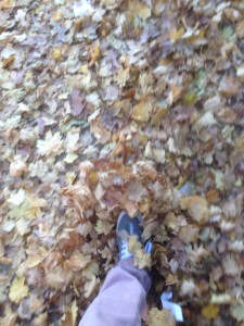 Walking in the leaves.