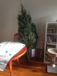 A friend put a snarky comment when i posted this pic on Facebook, "Is that a tree for a homeless person?"