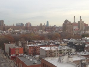 Tomkins Square Park from above.