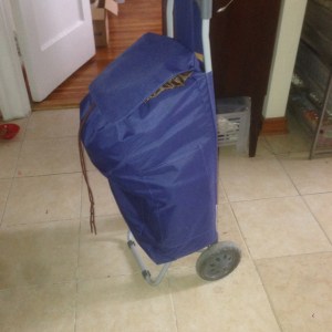 Stuffed to the gills.