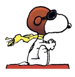 snoopy222