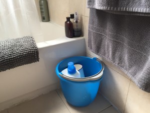 I know this has nothing to do with toilet paper, but the light was so nice I just had to share this pic.