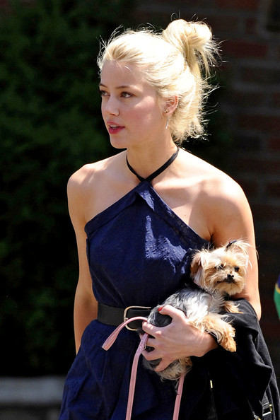 Amber+Heard+carries+pooch+leaves+Bowery+Hotel+dROmyIF9Bwdl
