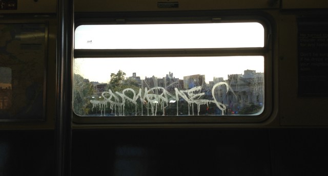 seat hogs – Version 2