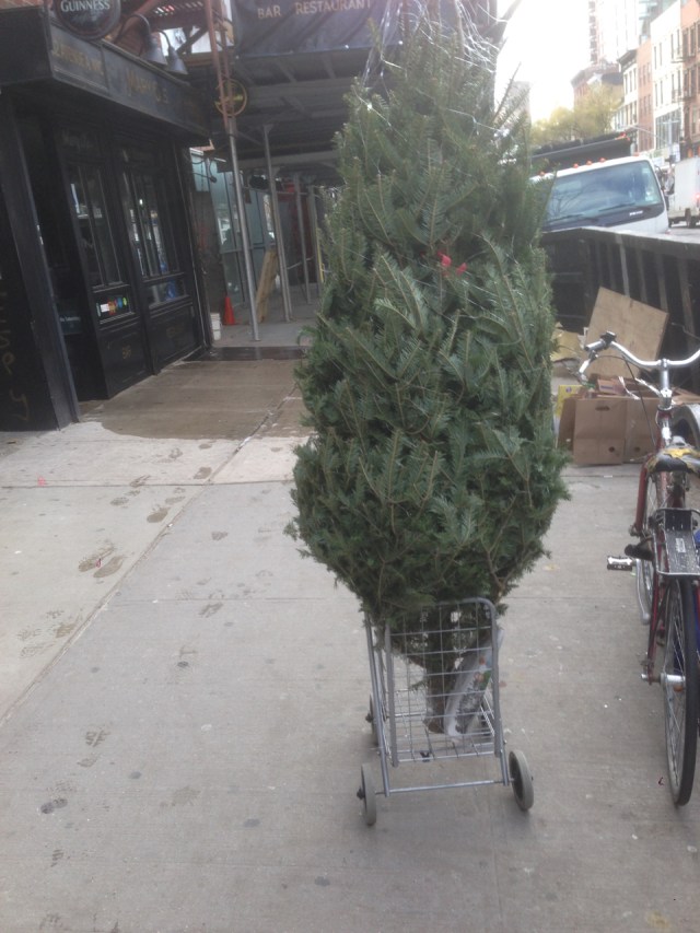 Tree in a cart