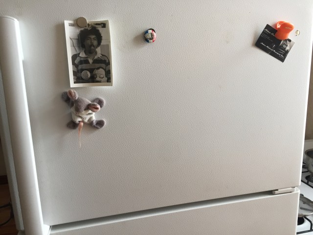 fridge